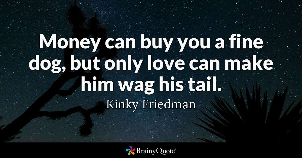 pets_forever's tweet photo. Money can buy you a fine dog, but only love can make him wag his tail.

#RETWEET #like #followforfollow #likeforfolow #follo4follo #FolloForFolloBack #followback #FollowGain #AUTOFOLLOWBACK #WantMoreFollowers #InstantFollow https://t.co/R3Vohy7zzO