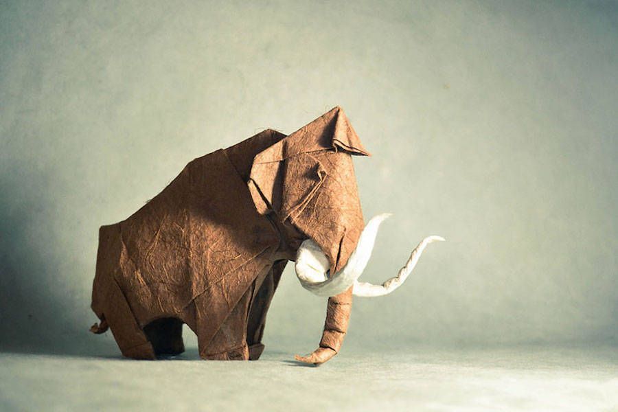 fubiz's tweet image. Stunning Origami Art by Gonzalo Garcia Calvo bit.ly/1OfV9oK