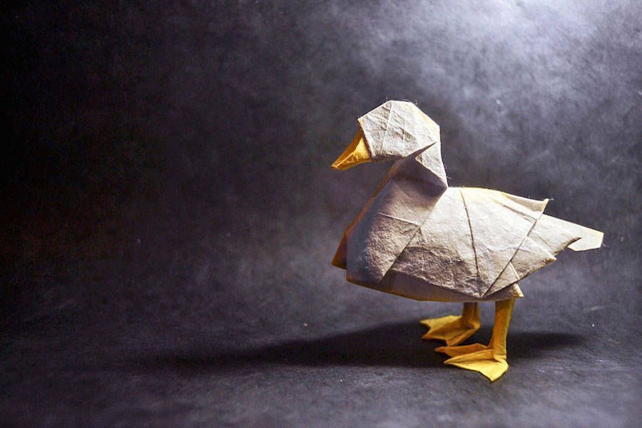 fubiz's tweet image. Stunning Origami Art by Gonzalo Garcia Calvo bit.ly/1OfV9oK