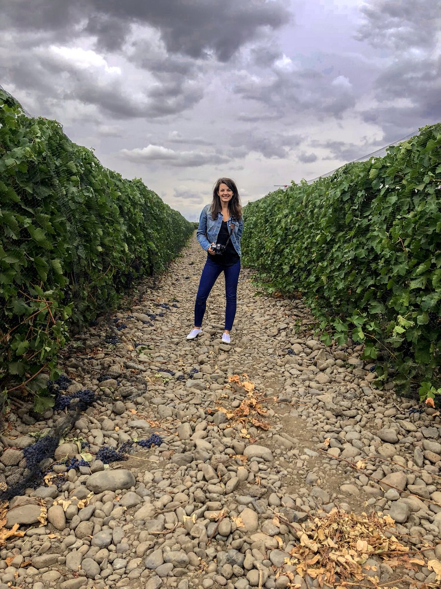 Taking a drive through the Walla Walla Valley &amp; in awe of all the beautiful vineyards &amp; grapes. Stoked to be here during #WAWineMonth.  🍇🍇🍇 #WallaWallaWine 🍷🍷🍷