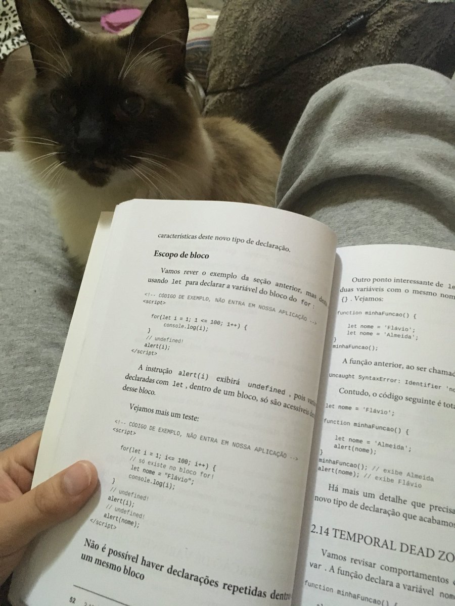 nixzera's tweet image. Dia 08/100 #100DiasdeCodigo
#CodandoJuntas 

Passei o dia sem internet, fiquei vendo Zootopia, aí depois peguei esse livro que o @flaviohalmeida fez e fiquei lendo sobre var e let.