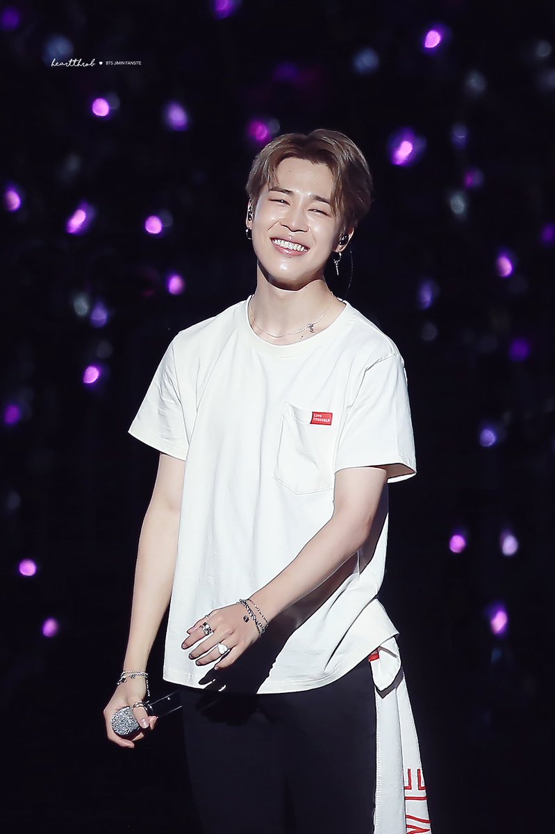 📸 260818- BTS WORLD TOUR Love Yourself Tour in SEOUL D-2 #JIMIN