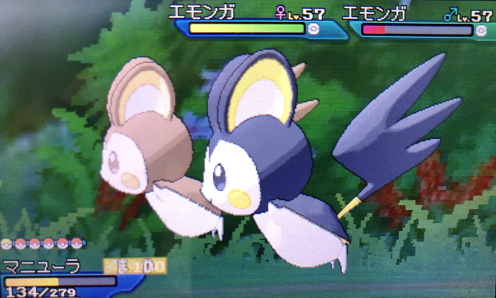 Twitter 上的 Mika 助け連鎖 お昼食べながら30分で色エモンガちゃん出たのに仲間にほうでんで倒された 悲しみ ああ 私のカフェオレちゃん 助け連鎖 ポケモン エモンガ 色違いポケモン 色違い 色エモンガ T Co Gnc67tzgwq Twitter