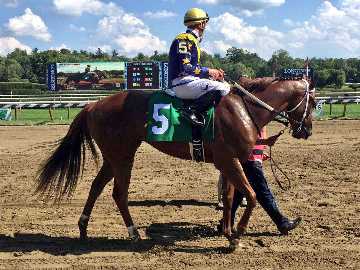 SaratogaSlim's tweet image. Rest In Peace to BOWIE who went wrong in the #SmartNFancy &amp;amp; had to be put down.

4-year-old filly was known for having one blue eye &amp;amp; appeared in advertisements. Won her debut as a juvenile on #Saratoga 2016 opening day.

My condolences to @LNJFoxwoods &amp;amp; her connections.