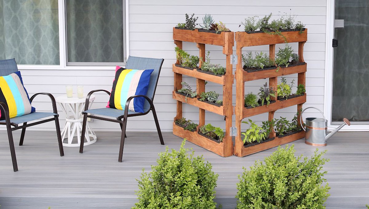If anyone needs some pallets let me know. My wife has collected them and we are willing to share! How to Build Your Own Vertical Garden With Shipping Pallets buff.ly/2NAlQHB