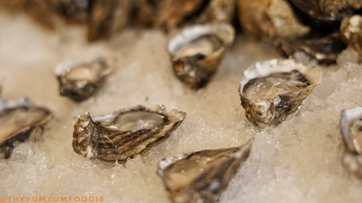 GUILTY...Today At the <a href="/lafoodwine/">LA Food & Wine</a> grand tasting I had enough #oysters to drown a small village and I'm not sorry about it. 
.
.
.
 #lafoodwine #lafoodwine2018