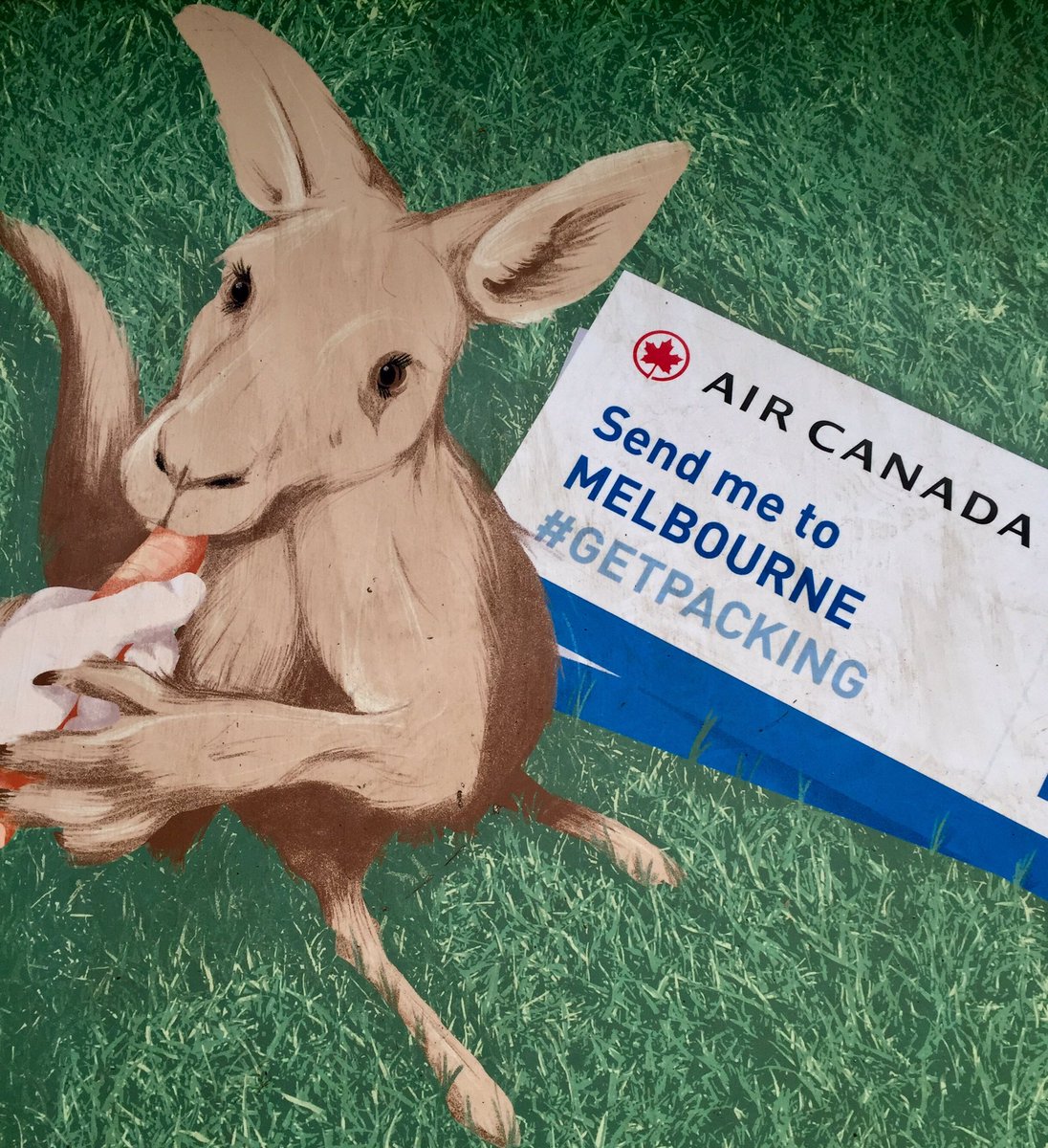 Vancouverscape's tweet image. Um, yes please, mate! #getpacking 🇦🇺🐨✈️