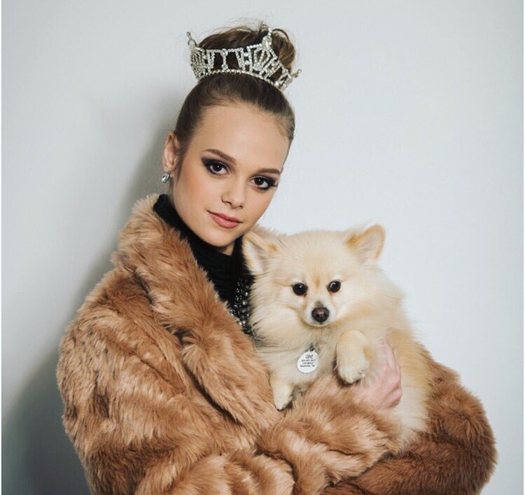 MissNHOrg's tweet image. #NationalDogDay 🐶