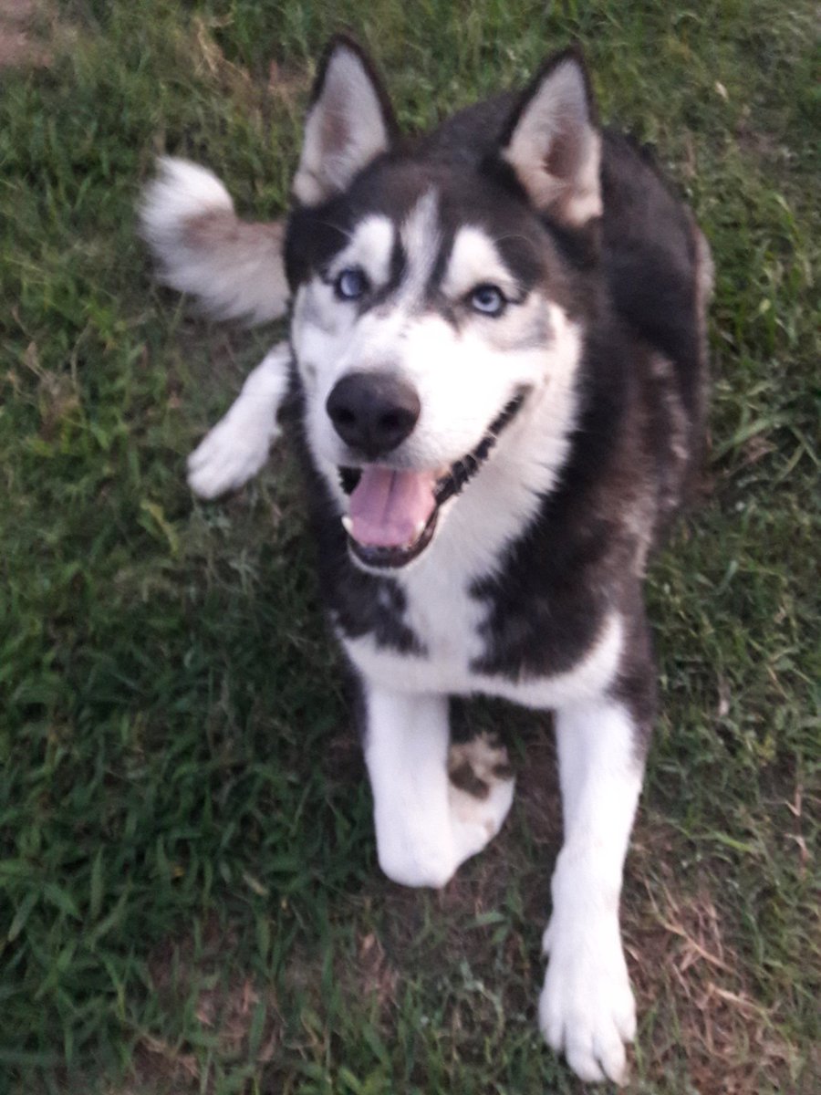 Jacob Landa tweet media