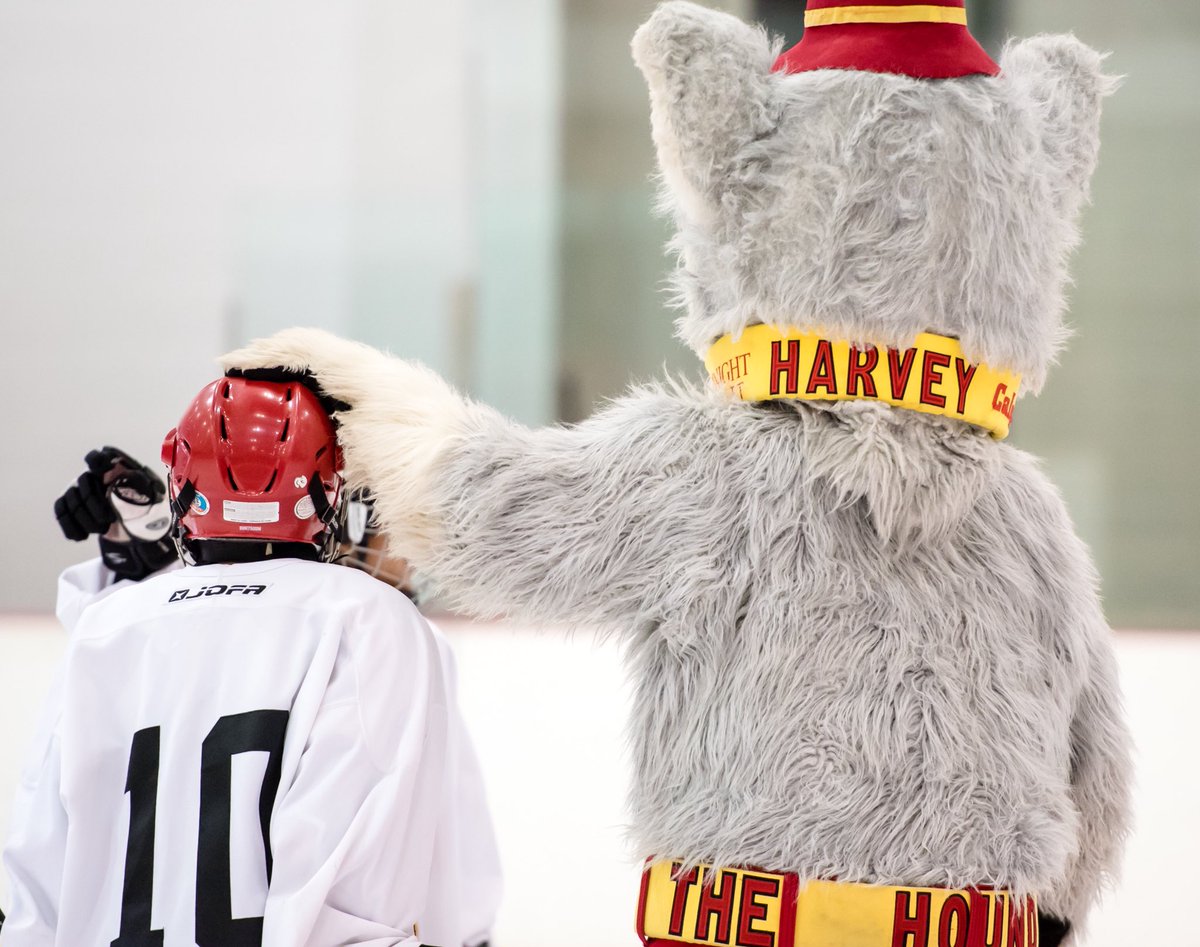 FlamesFdn's tweet photo. That’s a wrap on the @NHLFlames @SportChek Development Camp with @SAIT_Trojans and @CSECRKerr Thank you to our dedicated volunteers and participants for another unforgettable weekend of hockey!
#DevCamp18 #flamesfoundation #differencemakers #leadership #teamwork https://t.co/NQXFVHrKDy