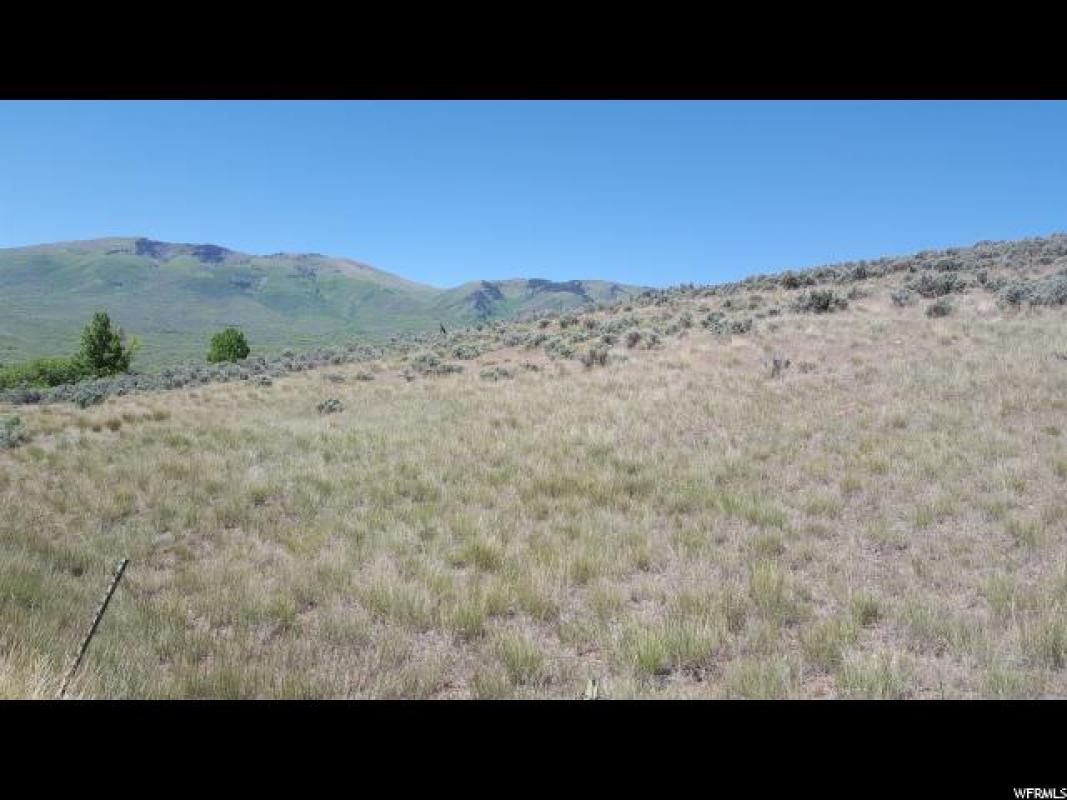 C21Heber's tweet image. We are looking for a buyer on 230 N CENTER #Wallsburg #UT  #realestate tour.circlepix.com/home/AAKJSD