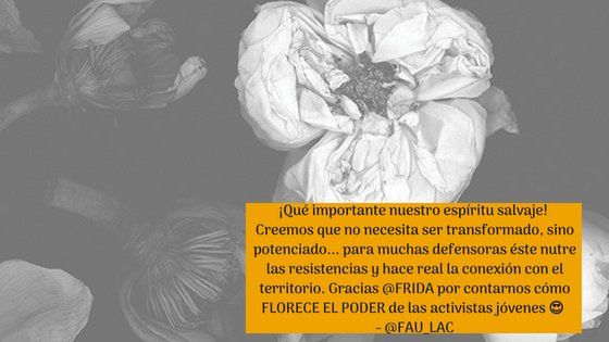 FRIDAfund's tweet photo. #MondayMotivación del lunes de nuestros amigos y camaradas en @FAU_LAC. ¿Dónde/ cómo localizas lo salvaje dentro de ti? Where/how do you locate the #wildwithin yourself? Share away & we'll post them!
Pic design from our #AnnualReport17 https://t.co/2ZBcn1FT3b #replug https://t.co/45afwkmGrF