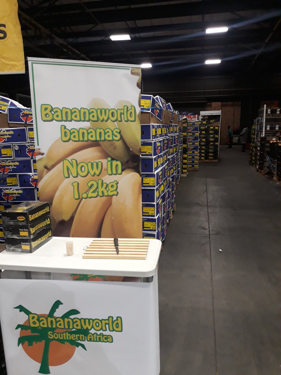 Martin van den Bergh tweet media