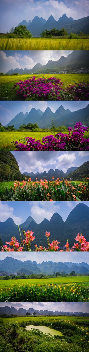 hi4steve's tweet image. 如果你要我说「小K中国行」最推荐的一个群山景点,我会拍着胸脯向你推荐贵州兴义万峰林。
一次美好的旅游体验是有许多部分组成的。绝美的景色,淳朴的民风,舒服的住宿。这三方面,万峰林都给了我极大的满足。
在这里一定要骑个自行车,从将军桥骑到万佛寺,一路走走停停,穿梭在如画般的田园风光中。