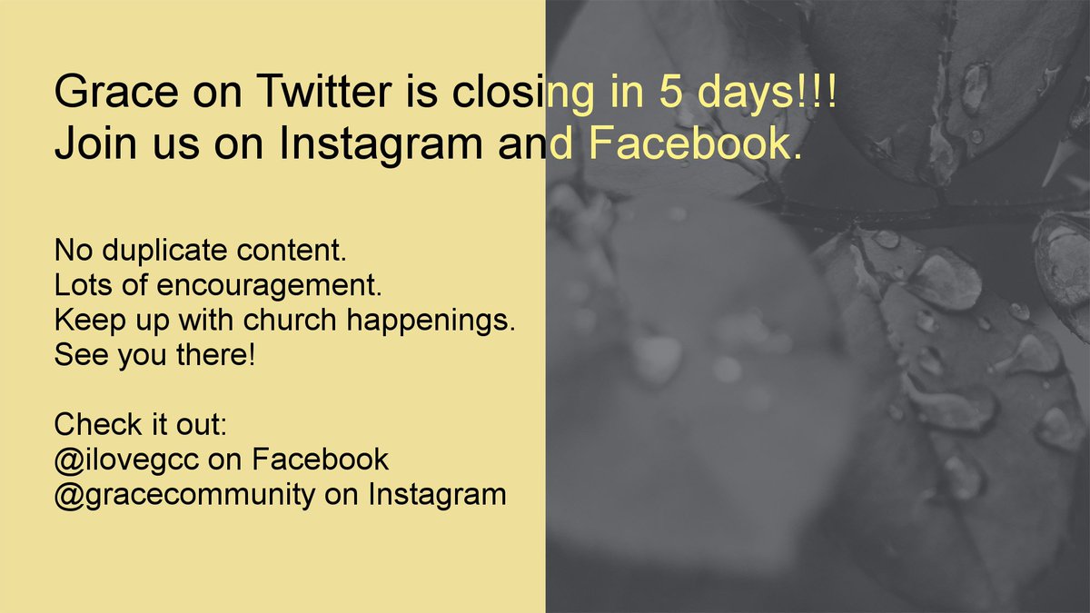 Grace_Community's tweet photo. RIP Grace Twitter...5 days and counting. https://t.co/72KPUzXeDk