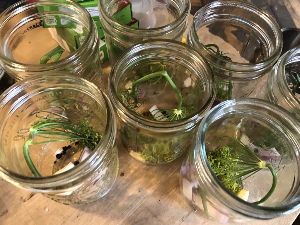 chrisblasko's tweet photo. Hottest #dillybeans this side of he🏒🏒.🔥🔥 #ghostpepper #habaneropepper #serranopepper #jalapenopepper https://t.co/eUCRGG19x9