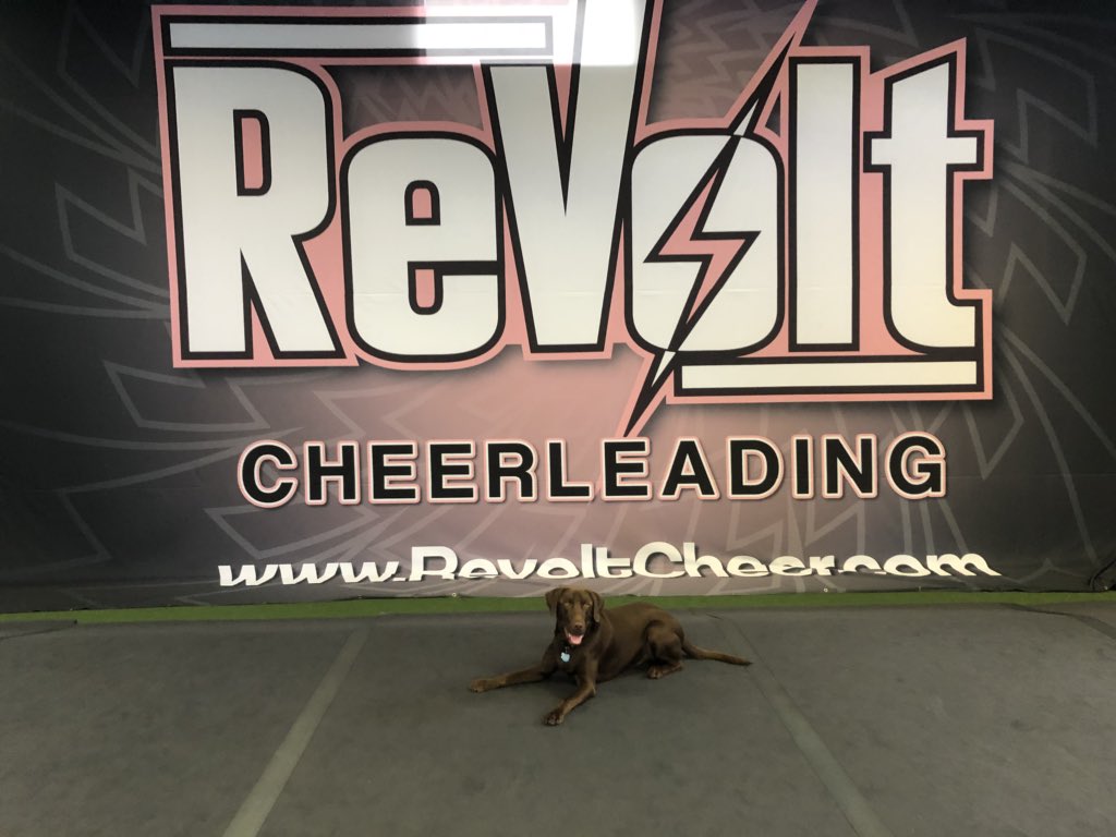 LauraDuesing's tweet image. Had a great C3 visit with Revolt Open 4! I love teams with open minds and big hearts who are willing to take on champion-minded standards using S.T.E.P. Melissa and Jamie have created a beautiful gym and atmosphere at Revolt. I’m excited to work with their Jr 3 and Sr 4 this wk!