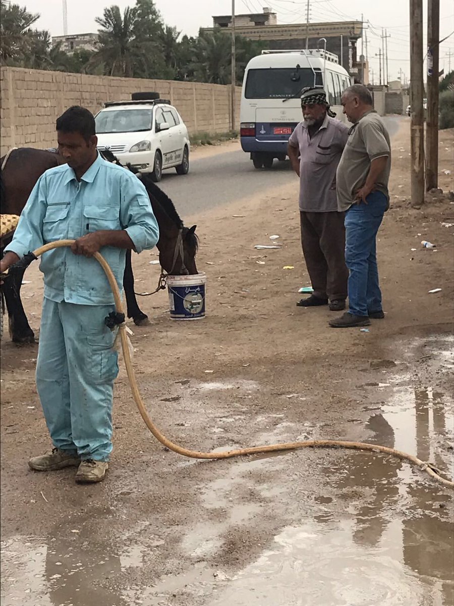 Sabbar_Mo's tweet photo. ابوي يگلي: حتى الحصان ما قبل يشرب ماي الاساله لحدما جابله ماي حلوو يلا شرب ..
#savebasra https://t.co/CIHP0rf3NU