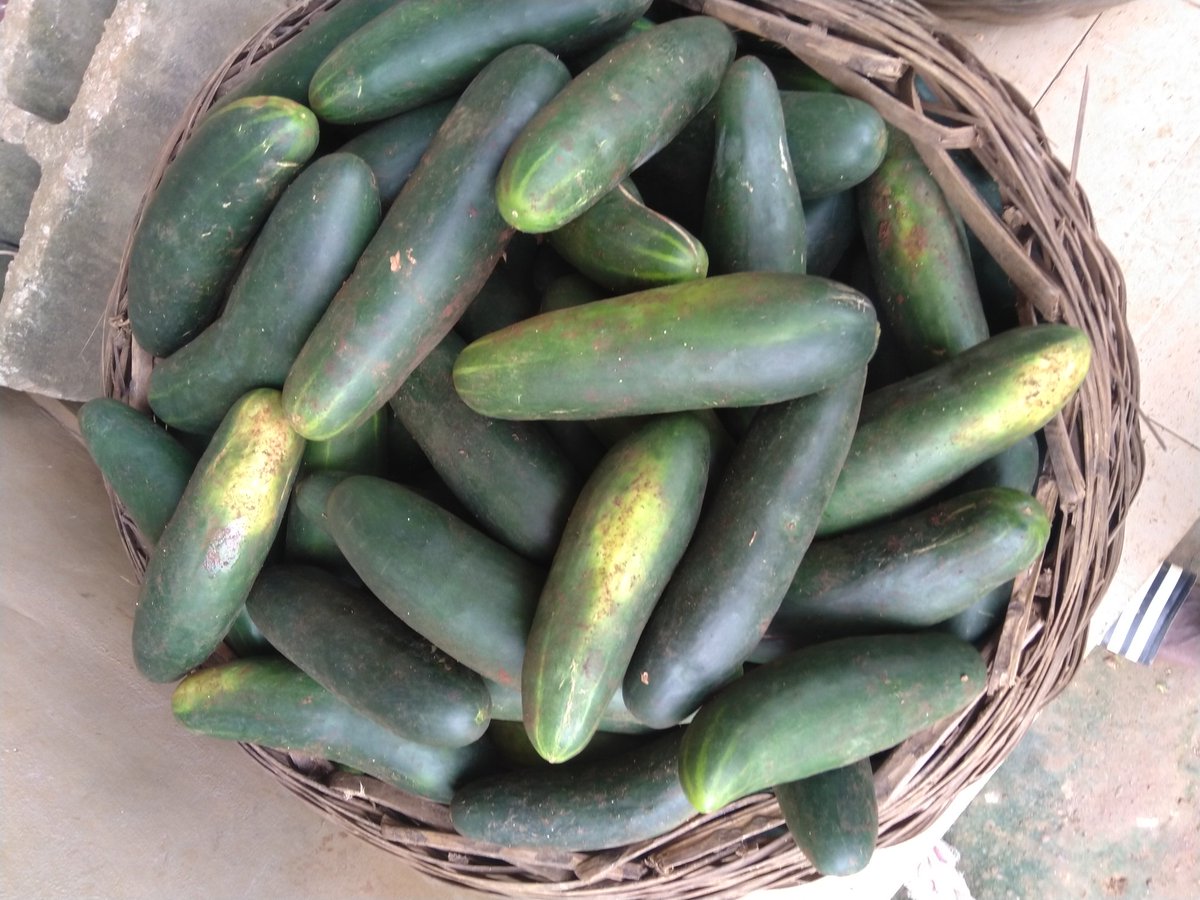 Tunde Sotunde (Sotunde_Tunde) Twitter