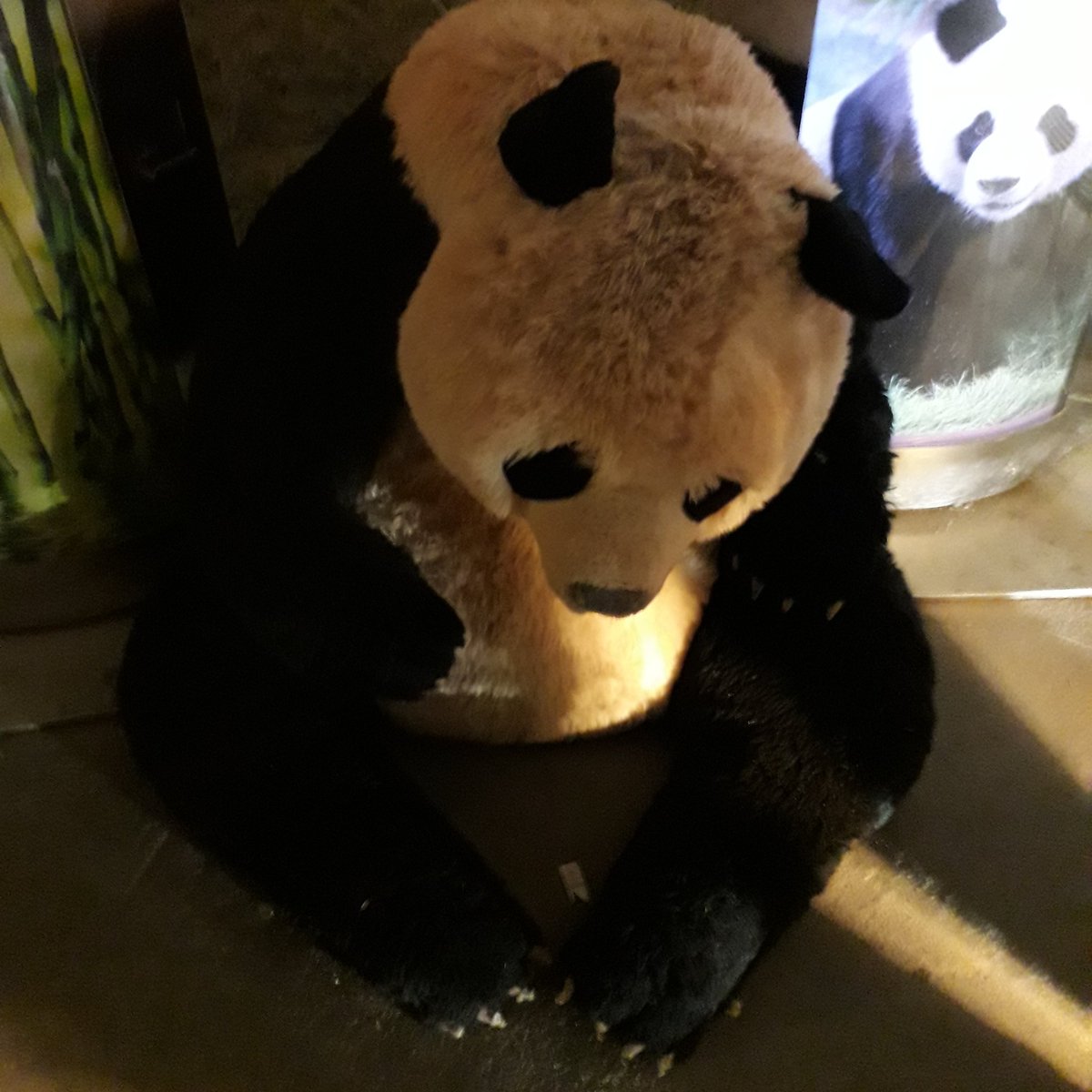 remipaca's tweet photo. #NouvellePhotoDeProfil https://t.co/wXnh2MOiUo