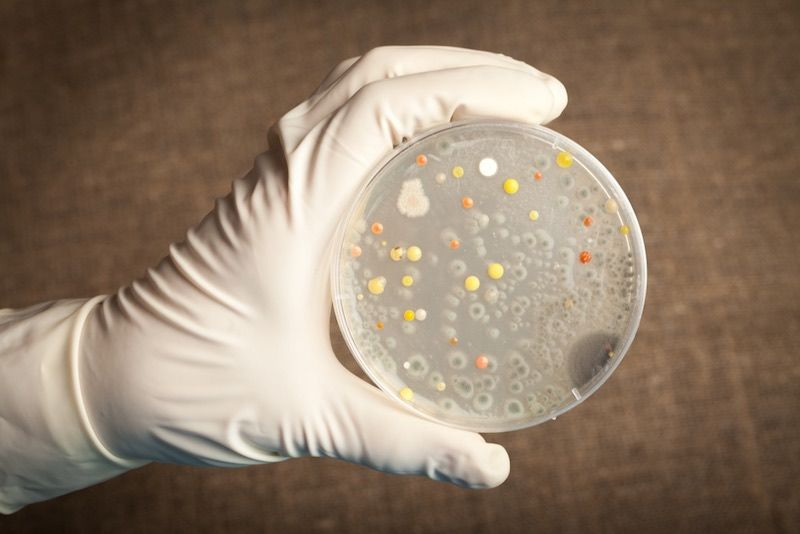 SBungers's tweet photo. Great article by @Labiotech_eu: 5 Easy DIY Biology Experiments You Can Do at Home https://t.co/CJo3urvdHe #DIYLabs #CitizenScience #bioart #biohacking #DIYBio @diybio @biogarage @BiologiGaragen @DNApunks https://t.co/AuxIH0dBOT