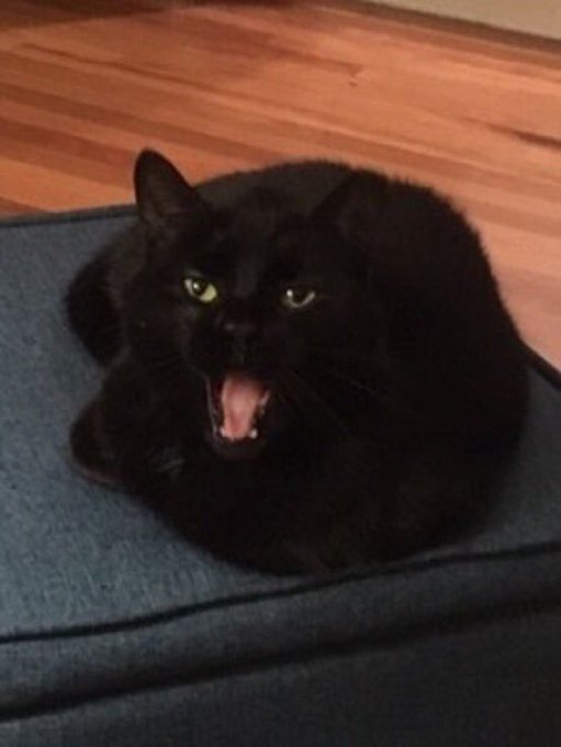 Before and after the credits-roll.  #SharpObjects https://t.co/y7id5qk1Be<a href="/tag/sharpobjects"class="tags">#SharpObjects</a>