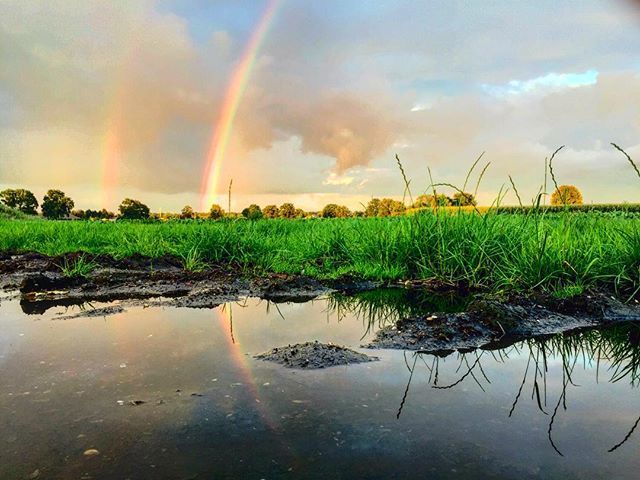 FotoLuna's tweet image. Rainbows ⠀
.⠀
.⠀
.⠀
.⠀
.⠀
.⠀
#..... #nature_perfection #folkcreative #VisualsOfLife #gearednomad #MoodyGrams #visualambassadors #exklusive_shot #naturephoto #main_vision #landscape_captures #awesome_earthpix #natureaddict #rsa_rural #awesomeearth #nature_wizards #allnatu…