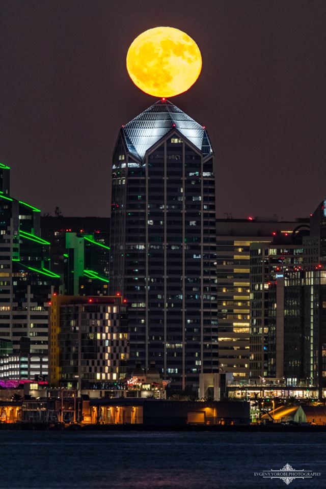 JenDelacruzTV's tweet photo. MOONED YA! Here's my fav pic of tonight's #fullmoon. Weather Watcher @yorobephoto always has incredible shots! @10News #SanDiego https://t.co/KDS3Pm0JrG