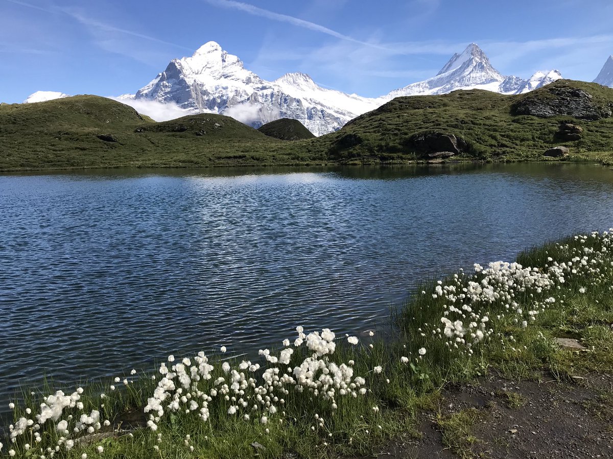 Bachalpsee hike from #Wengen-Mannlichen and Grindelwald-First 😍
