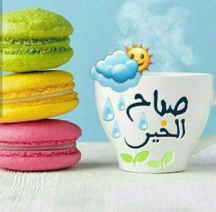l̷o̷l̷o̷l A̷l̷e̷d̷w̷a̷n̷ (كحل البدو فيني علامه)💙 (@lolo08464292) on Twitter photo 