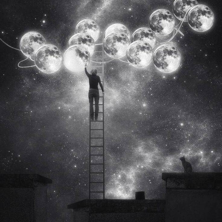 «Chacun de nous possède à l’intérieur un peu de poussière d’étoile, une petite étincelle qui résiste à toutes les épreuves.
 Quelle que soit l’obscurité qui nous entoure, rien ne peut éteindre cette lumière.»
Odile Dormeuil