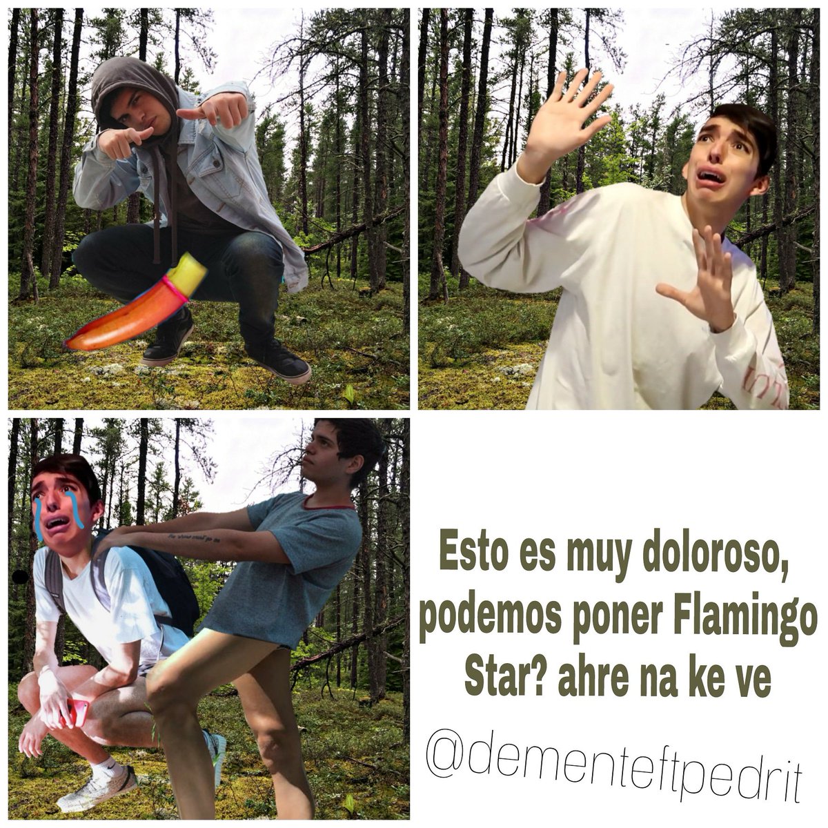 dementeftpedrit's tweet photo. #memespedritovm @Pedrito_Vm  #unmemeparapedrito https://t.co/GuloG87P58