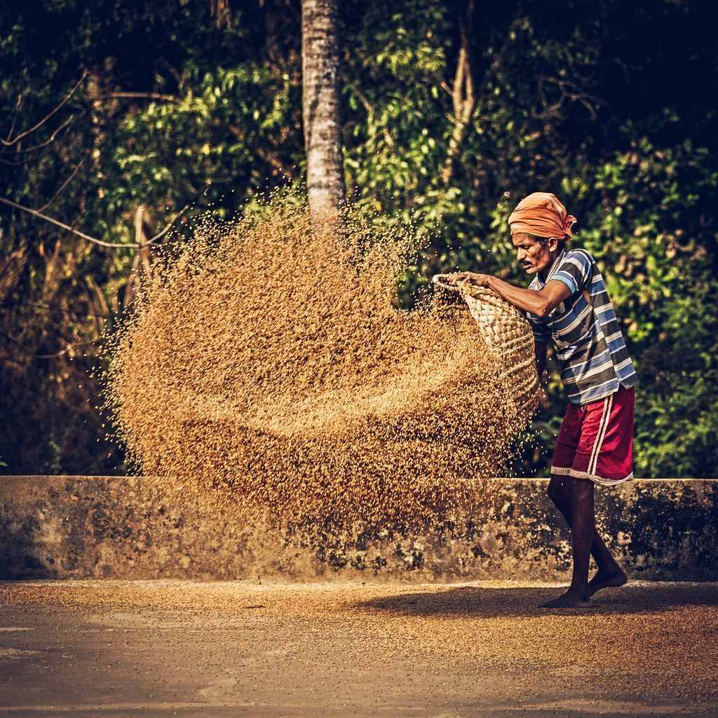 FAO's tweet image. Rural people produce 3/4 of the world's food yet these same people constitute 80% of the global poor. 

We need to support our food producers. They are our #ZeroHunger heroes!