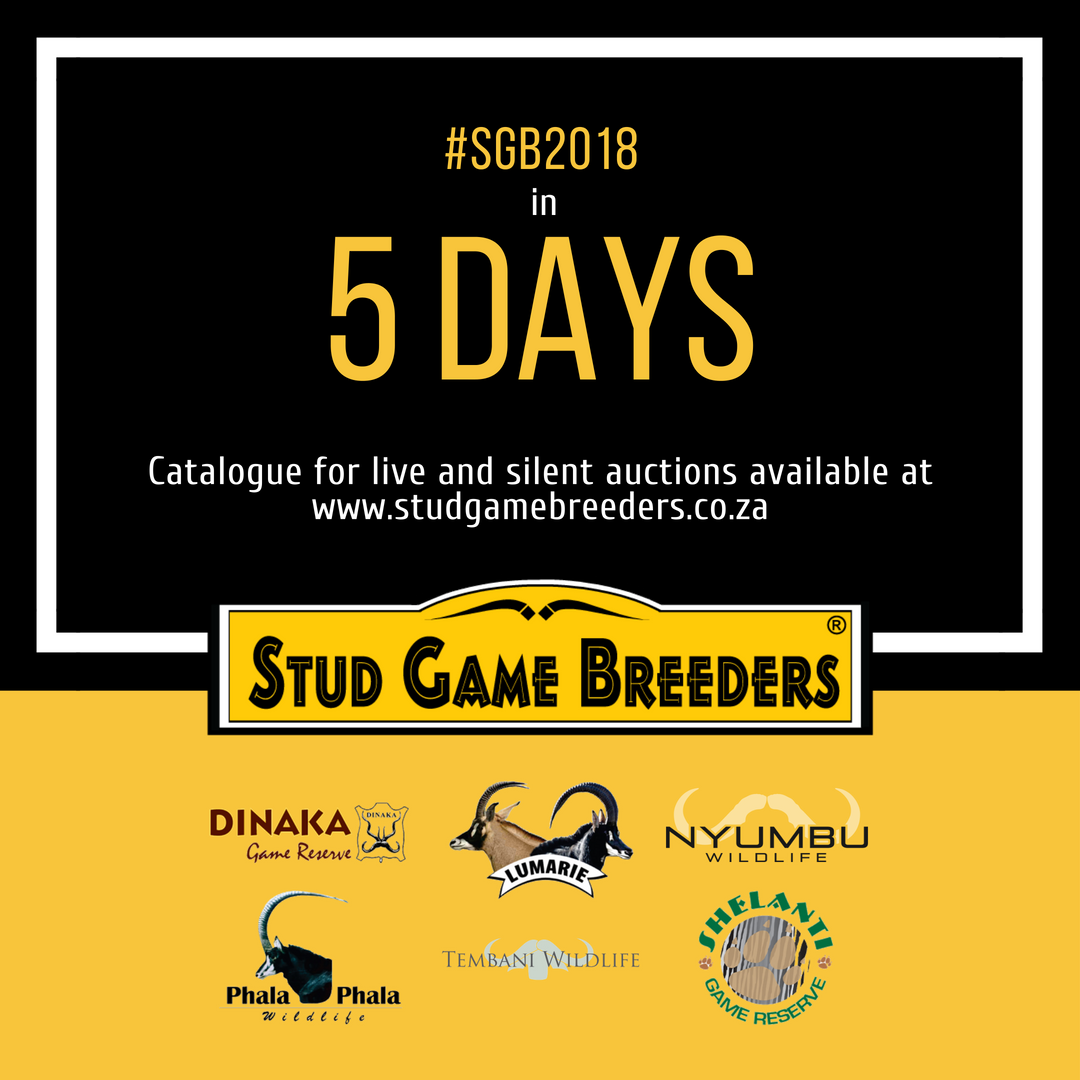 studgamebreeder's tweet photo. Join us this Saturday at Zebula for our biggest auction of the year. View the superb lots available by downloading the auction catalogue from https://t.co/1AOYP6KDic or in the Stud Game Breeders app.
#SGB2018 #gameauction #wildsveiling #gamebreeder #wildboer #SouthAfrica https://t.co/nNg7uMQVz3