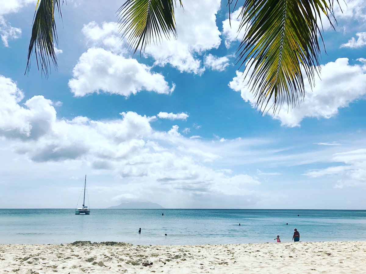 Sables_dOr's tweet photo. Monday view in #seychelles #luxuryapartments #beachfront #LuxuryTravel #BeautifulDestination #travel #MondayBlues #vacationrental #paradisefound https://t.co/3u9d6QD74K