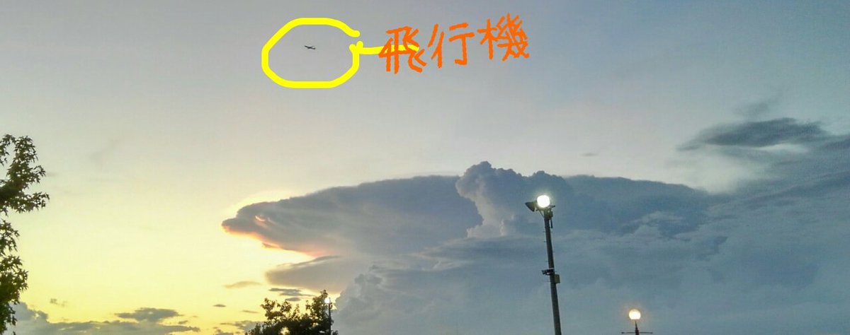変態飛翔生体