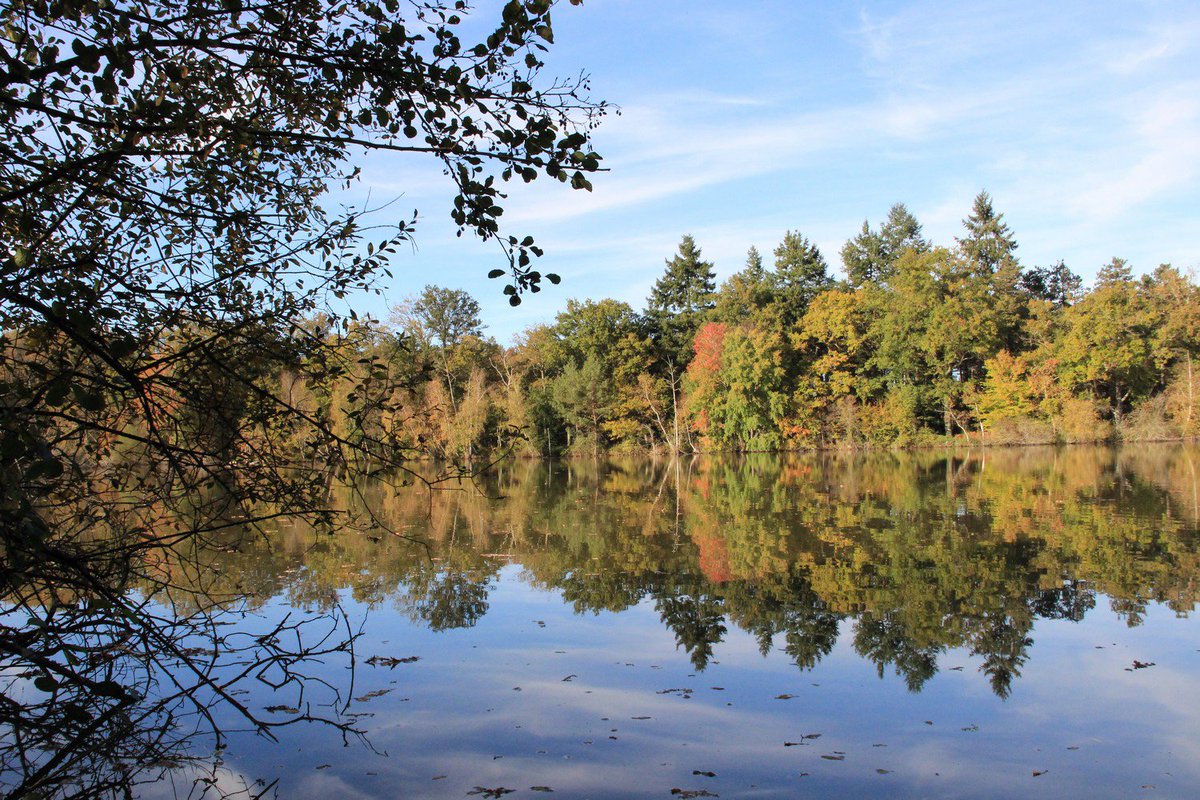 Le domaine de Ciran, une jolie destination nature pour toute la famille, dans le Loiret ! 🤗

© Domaine de Ciran - #ValdeLoire #Loiret #Ciran #DomainedeCiran #Patrimoine #Nature #TourismeLoiret