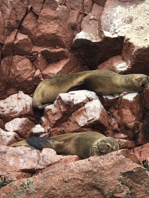 Watch loren's leaked NSFW photo on TwXstars