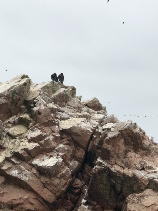 Watch loren's leaked NSFW photo on TwXstars