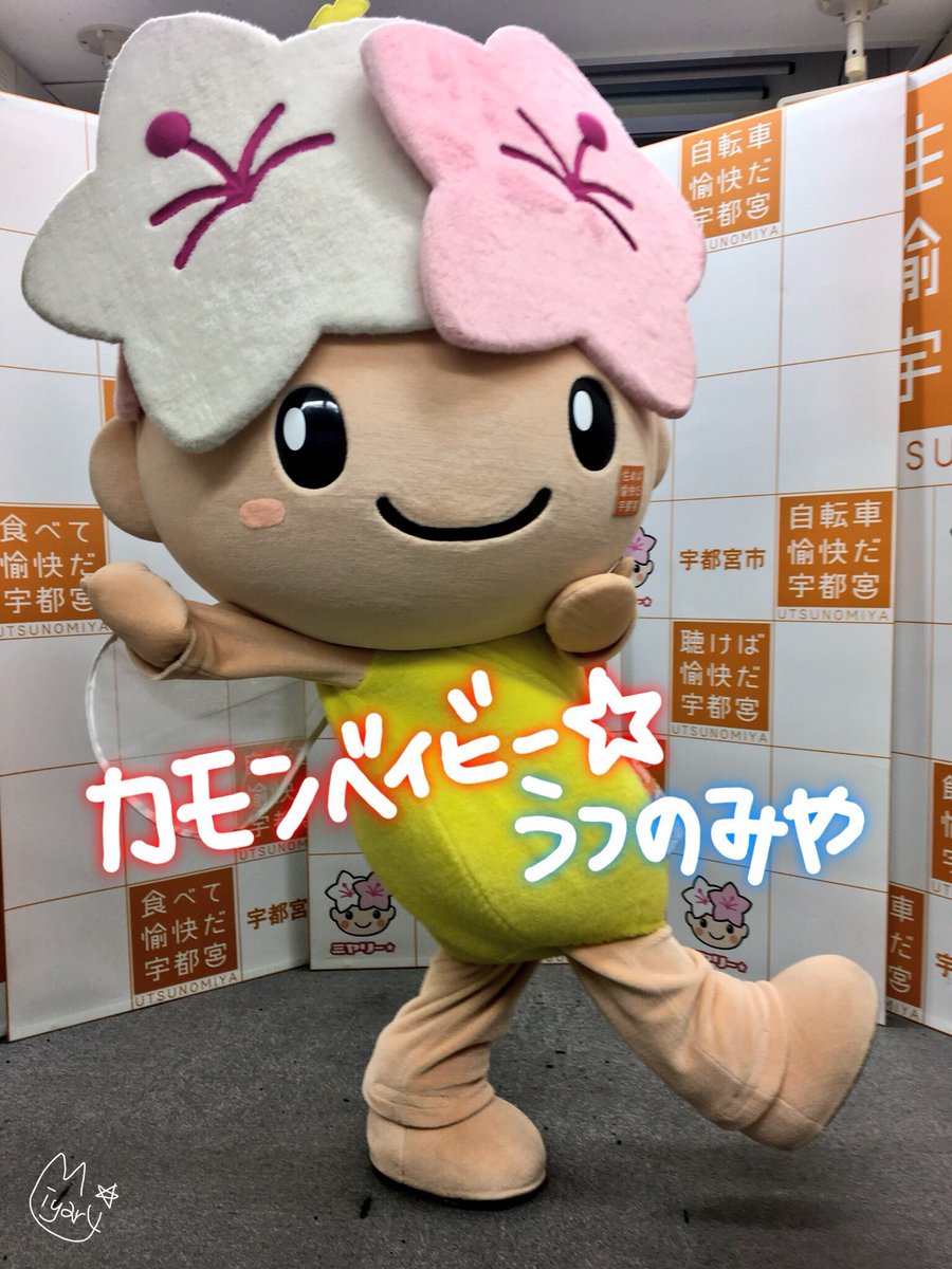 宇都宮あるある