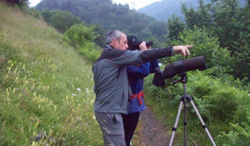 RNR d'Aulon : les isards suivis de près #faune #nature #Pyrénées #reservenaturelleregionale  sco.lt/6O4s3l