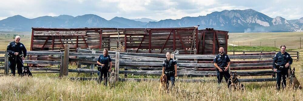 FriendsofBCSK9's tweet image. All of us at Friends of Boulder County Sheriff K9 Association hope everyone had a wonderful #NationalDogDay!! #friendsofbcsk9 #bouldercounty