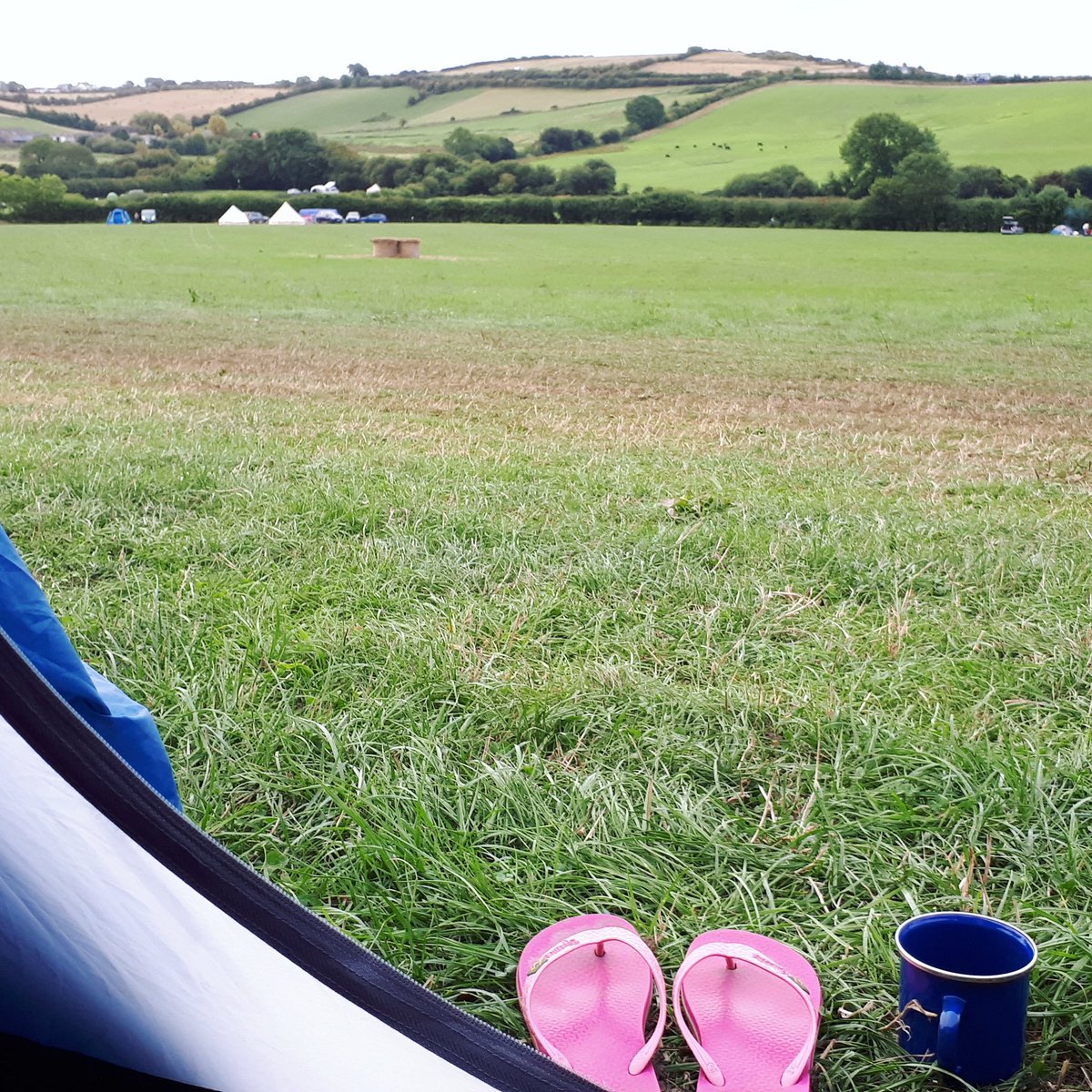 onewhotravelled's tweet photo. A light breeze, a cup of coffee in the sleeping bag and a lovely view. What a fab way to start the day #dorset #farmcamping #eweleazefarm #northdownfarm https://t.co/Oian16ylDK