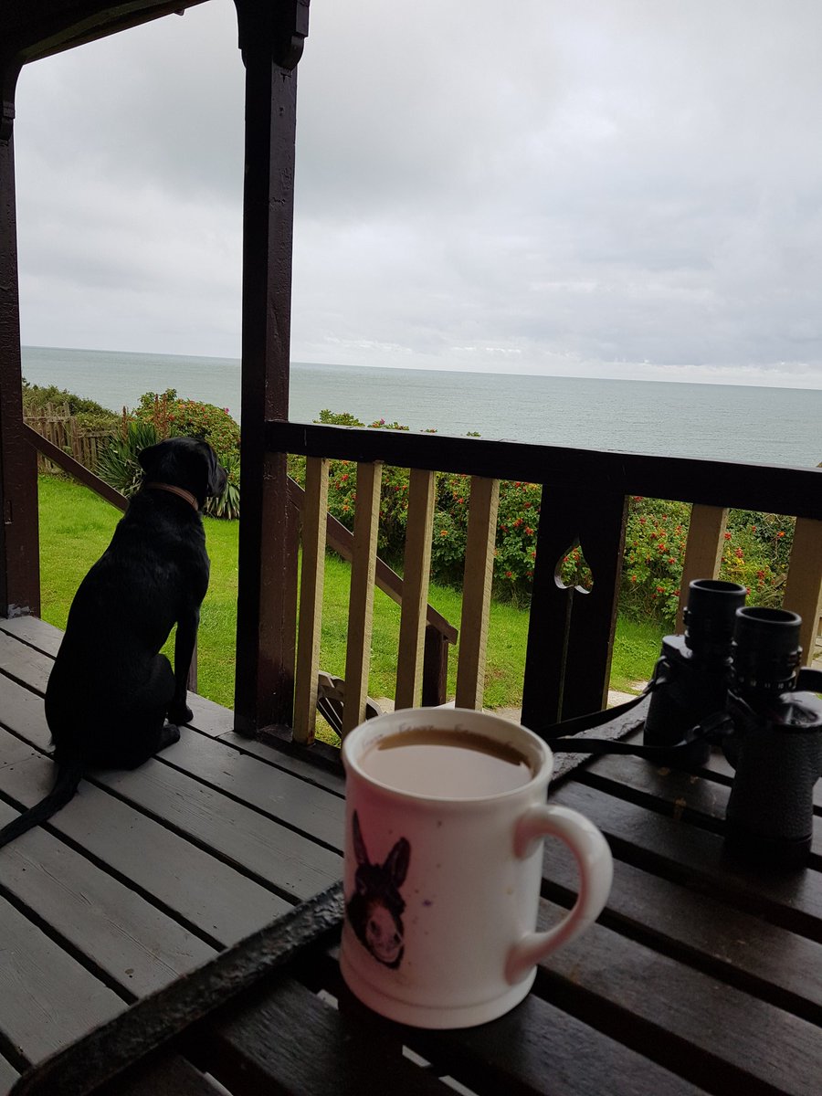 @underthethatch  Good morning from #wendy #coastalcarriage  #aberporth