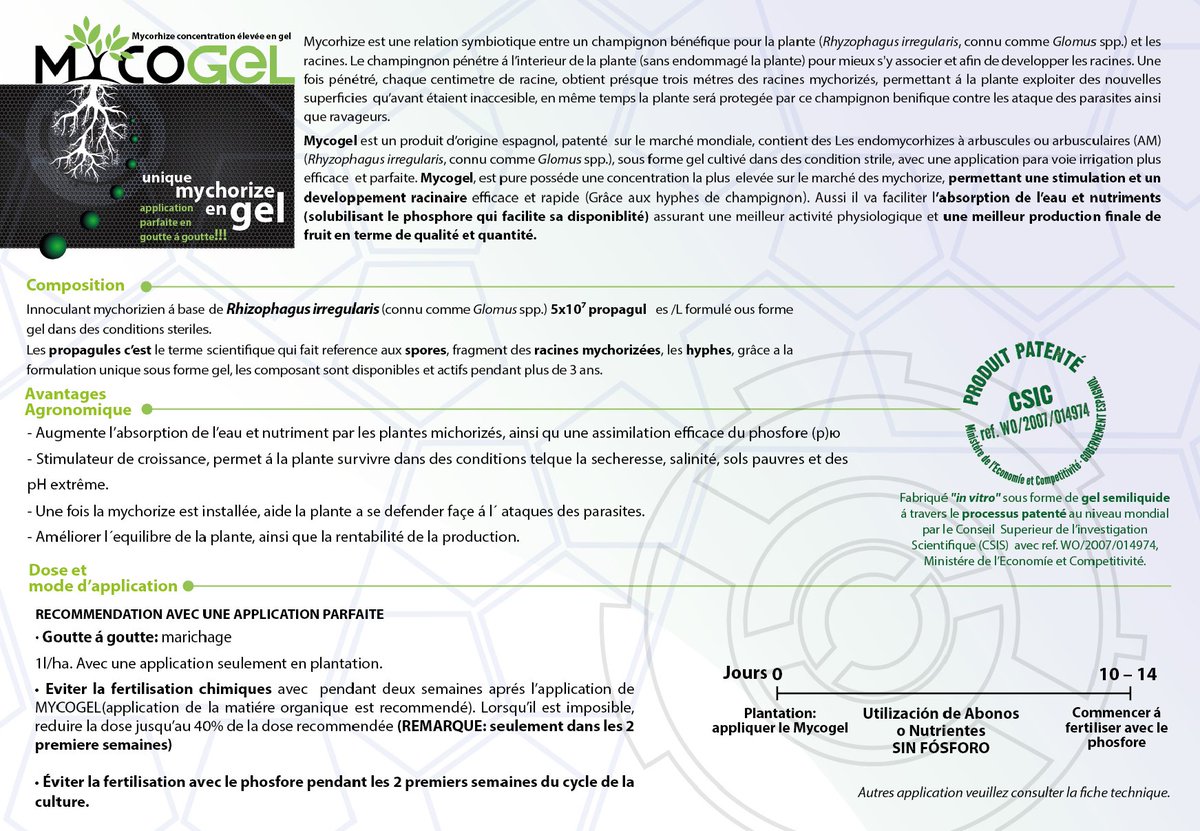 MaxymReva's tweet photo. #MYCOGEL est un #biofertilisant de champignons #mycorhiziens à #arbuscules #Rhizophagus irregularis, spécialement sélectionné pour sa grande efficacité. MYCOGEL a la plus grande concentration de propagules sur le marché des #mycorhizes, c'est une formulation en #gel @KimitecGroup https://t.co/3N19OANrST