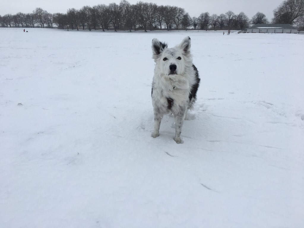 GinaPerry20's tweet photo. @IanMcKellen Willow 🖤 https://t.co/xhyrJGciS3