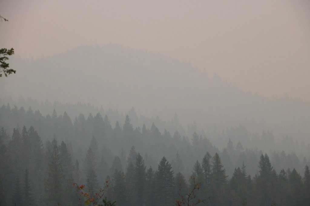 Wildfire – 2018 Edition theforestblog.com/wildfire-2018/