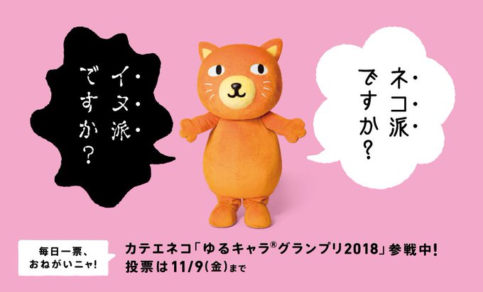 カテエネコ 公式 Katenechuden 18年08月 Twilog