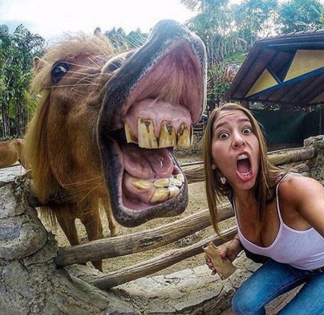 ProWorld5's tweet image. #зубы