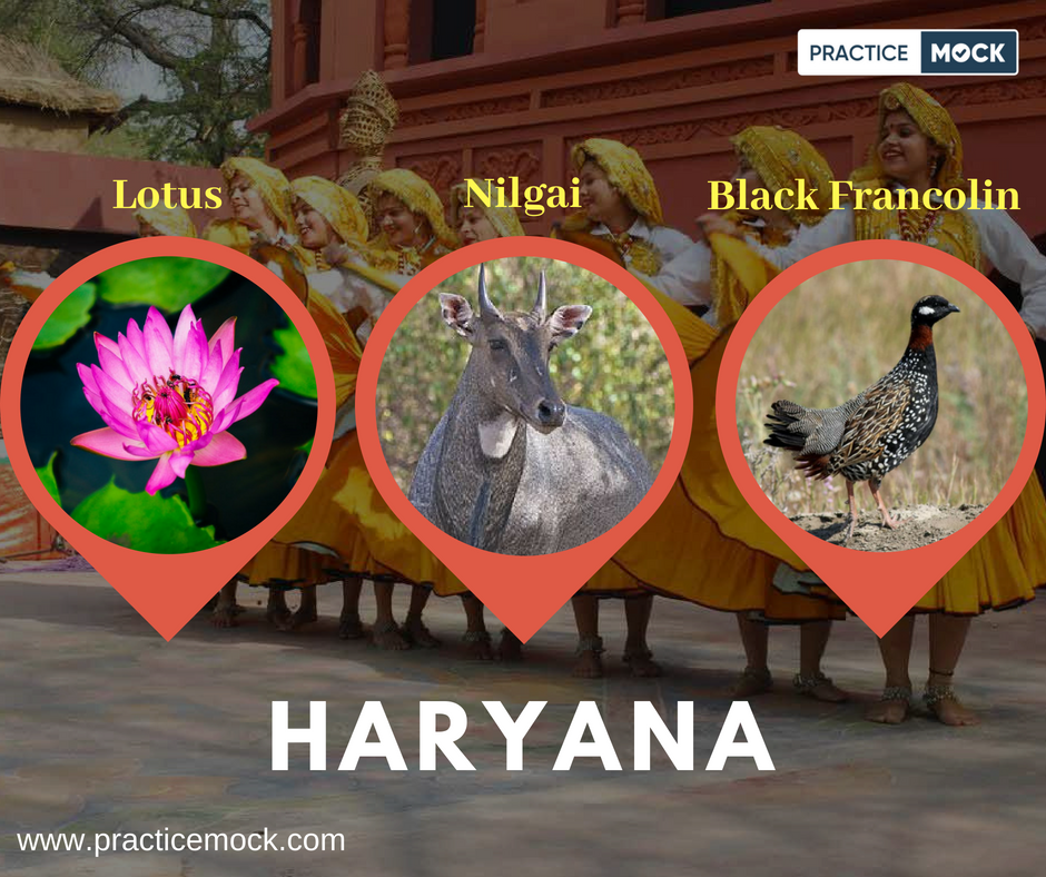 practicemock's tweet image. Indian states and their symbols.
#indianstates #statesymbols #haryana #flower #animal #bird #exms #Banking #ibps #ssc #PracticeMock #pm